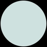 Wireless Headphones