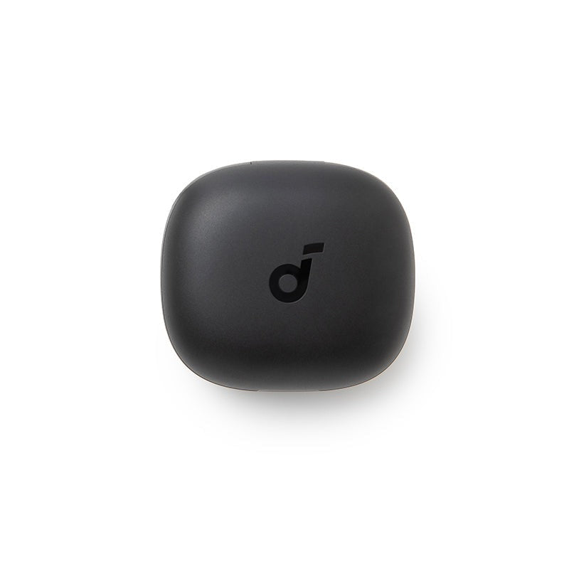 soundcore P20i Charging Case- Black