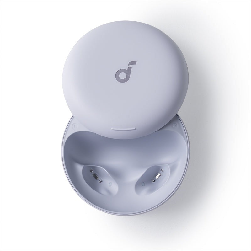Sleep A30 Special Charging Case (without earbuds)