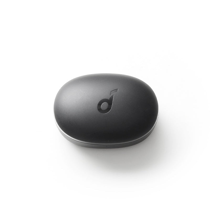 soundcore Life P2 Mini Charging Case - Black